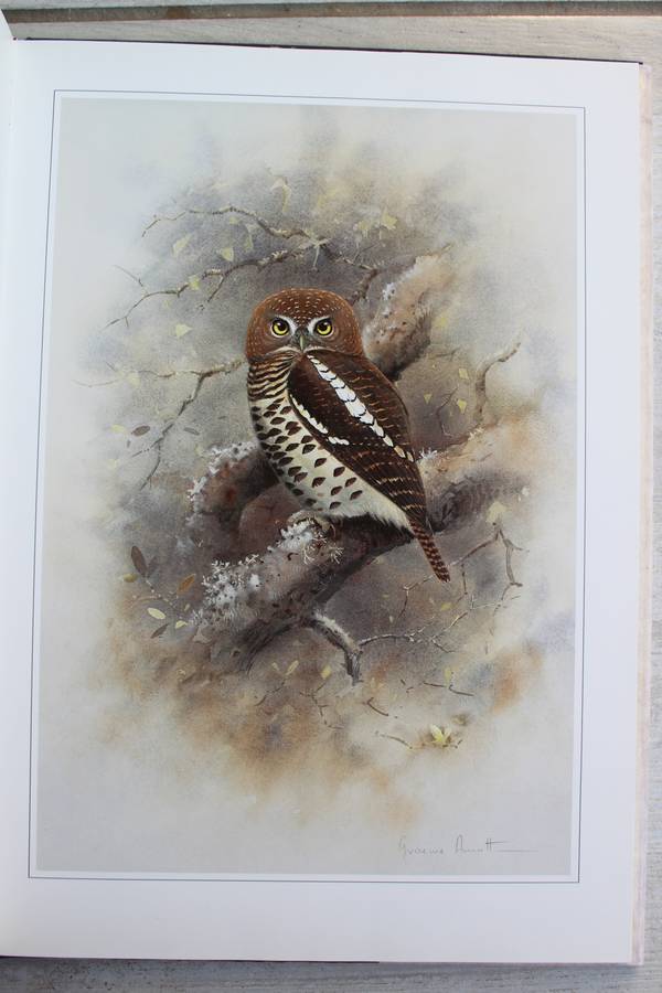 Hunters of the African Sky - Peter Steyn and Graeme Arnott