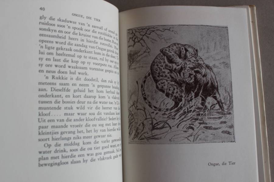 ASCHENBORN, H.A. - Die Adelaar en Ander Afrikaanse Verhale