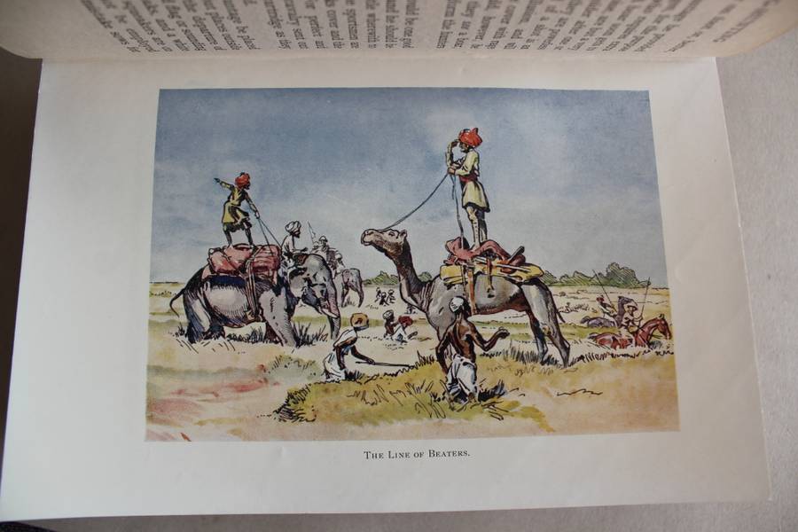 Pig-Sticking or Hog-Hunting    - Robert Baden-Powell