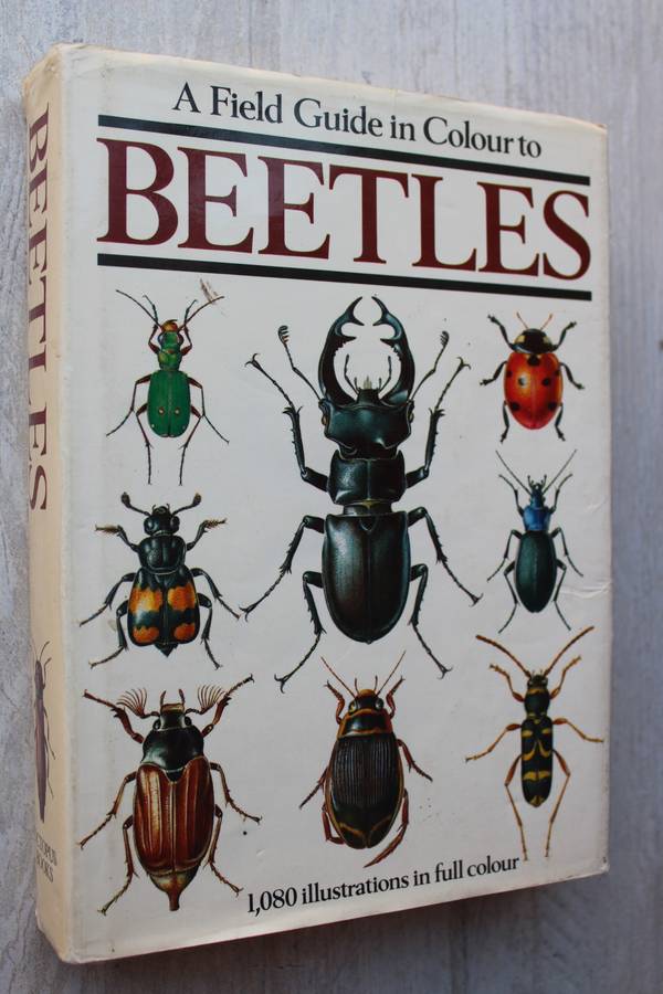 A Feild Guide in clour to Beetles