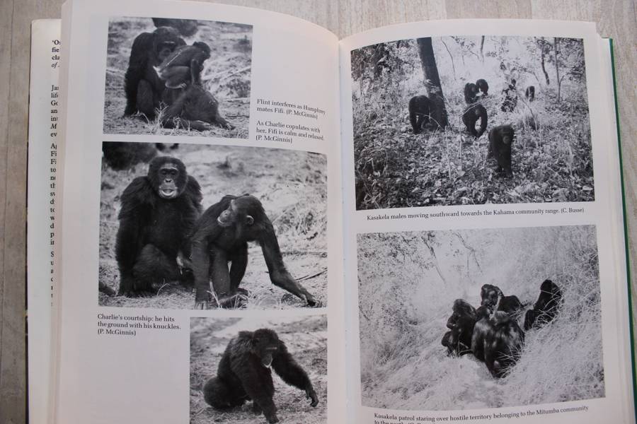 Through a Window - 30 Years with the Chimpanzees of Gombe - Jane Goodall