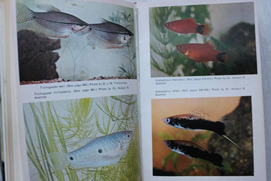 Handbook of Tropical Aquarium Fishes - Dr Herbert R Axelrod and Dr Leanard P Schultz