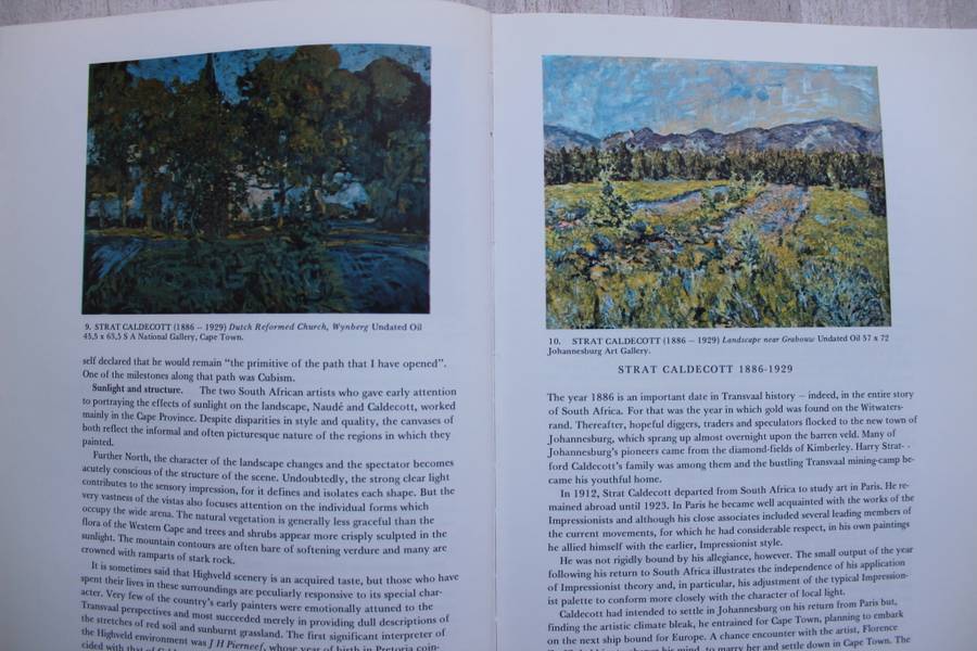 The Story of South African Painting - Berman