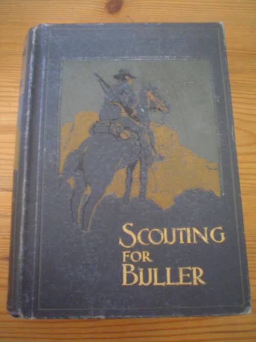 Scouting for Buller - Hayens