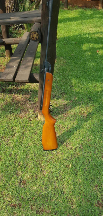 Excellent condition pellet gun with gun bag