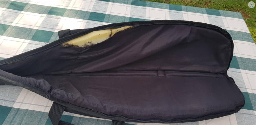 Excellent condition pellet gun with gun bag