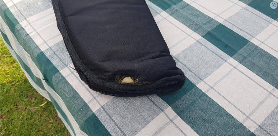 Excellent condition pellet gun with gun bag