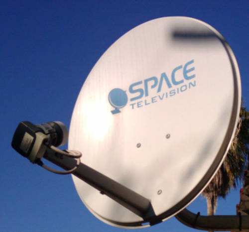 Dish