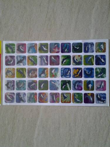 Dolphin sticker sheet