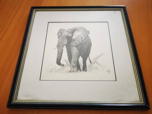 ORIGINAL Elephant Pencil sketch - JONATHAN TRUSS!