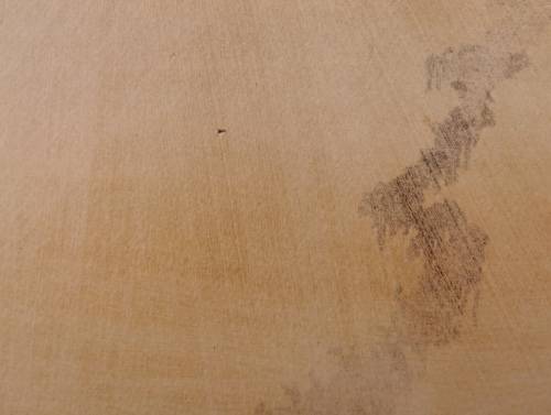 Gordon Vorster Wildebeest. * ORIGINAL *