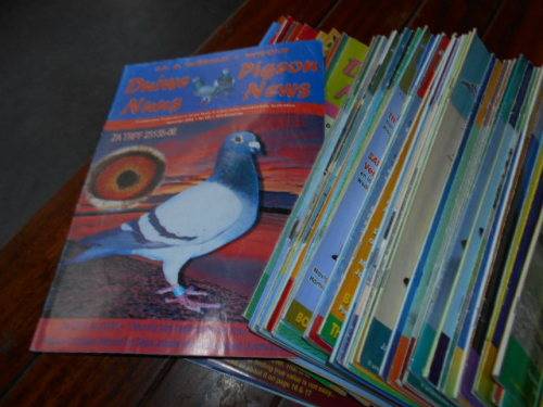 76 GEILLUSTREERDE  POSDUIF/PIGEON RACING MAGAZINES - 1977 - 2014 SUID-AFRIKAANSE POSDUIF-UNIE