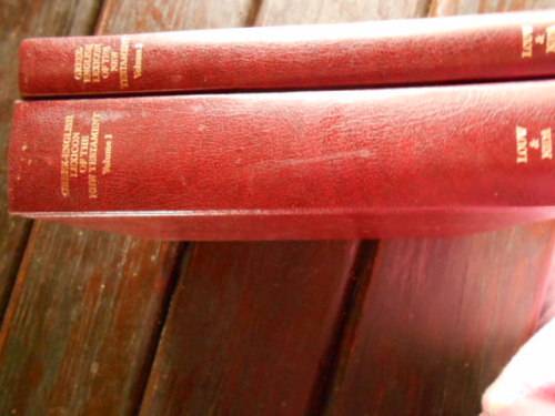 Greek-English Lexicon  of the New Testament - Volume 1 & 2 - J P Louw & E Nida Bible Society of SA