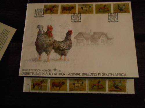COMMEMORATIVE POTCHEFSTROOM KOEKOEK ENVELOPE   5.13    PUTTERIE RACING PIGEON  STAMP,