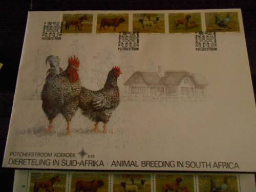 COMMEMORATIVE POTCHEFSTROOM KOEKOEK ENVELOPE   5.13    PUTTERIE RACING PIGEON  STAMP,