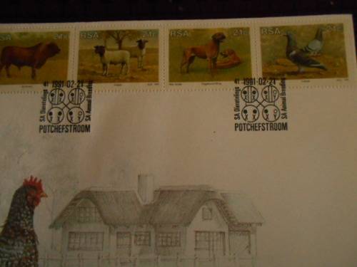 COMMEMORATIVE POTCHEFSTROOM KOEKOEK ENVELOPE   5.13    PUTTERIE RACING PIGEON  STAMP,