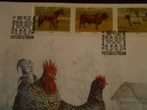 COMMEMORATIVE POTCHEFSTROOM KOEKOEK ENVELOPE   5.13    PUTTERIE RACING PIGEON  STAMP,