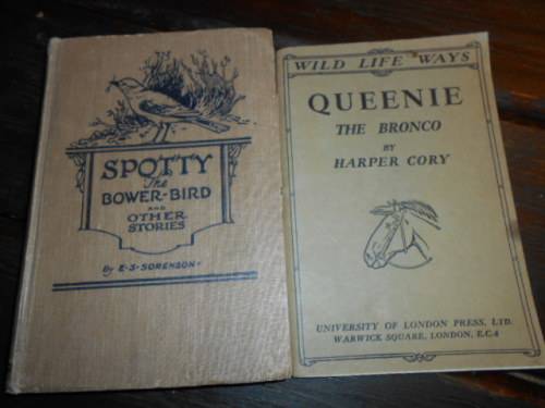 2 WILD LIFE BOOKS - SPOTTY THE BOWER-BIRD STORIES and QUEENIE THE BRONCO- H CORY