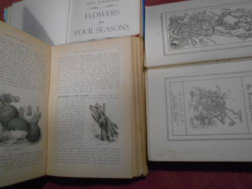 3 BOOKS - FLOWERS  FOUR SEASONS, GARDEN PATH and GUIDE HORTICULTURE 1898 UITENHAGE