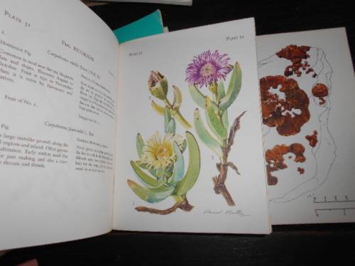 3 TSITSIKAMA NATIONAL COASTAL  PARK BOOKS  SEAWEEDS, FISHES, FLOWERING PLANTS