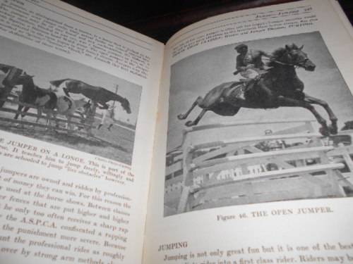 THE HORSEMAN`S ENCYCLOPEDIA - Margaret Cabell Self - AS Barnes & Company hardback