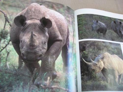 ANTHONY BANNISTER FOTOGRAFIE WILDE DIERE VAN SUID-AFRIKA teks deur JOHN SKINNER