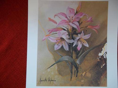 5x Flower Reproductions from 5x Origional Oils by Jeanette Dykman, FREE POSTAGE!!!