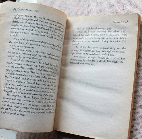 Phantom Stallion Book 9 - Gift Horse by Terri Farley