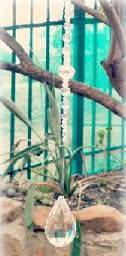 SPECIAL OFFER Genuine Crystal Suncatchers - Give Someone a Rainbow - Perfect Gift!