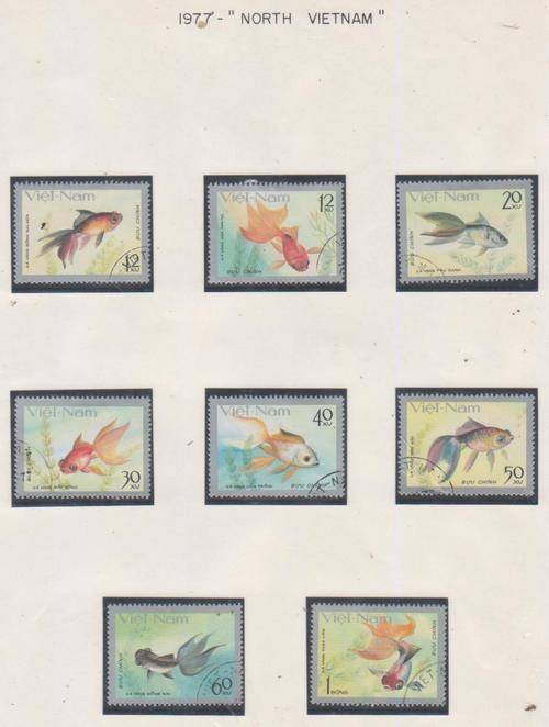 NORTH VIETNAM FISH CTO
