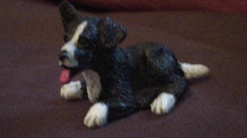 Puppy in my pocket 5