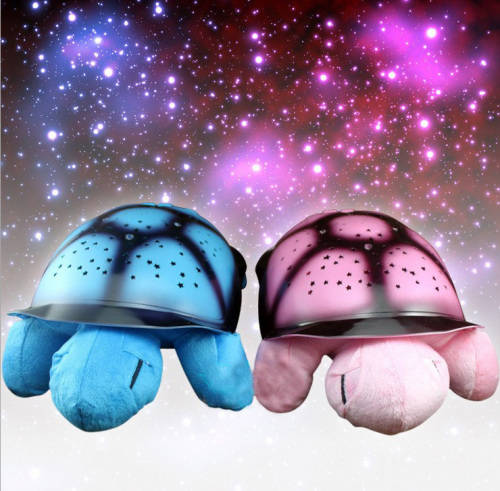 Turtle Night Sky Constellations - Pink or Blue