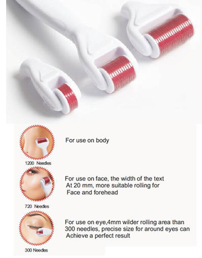 4 in 1 Derma Roller