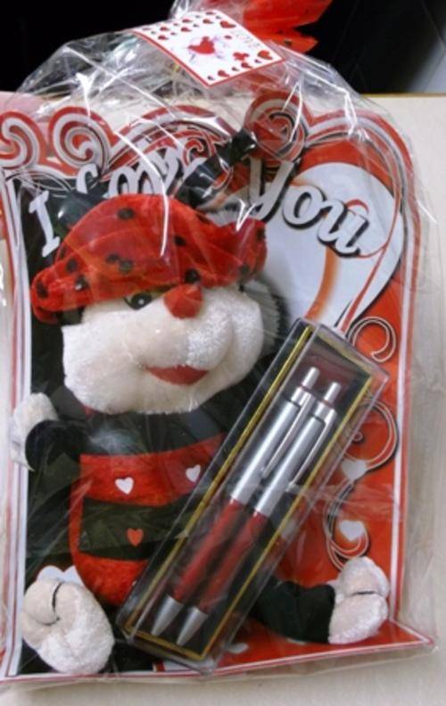 VALENTINES LOVE BUG WITH PEN SET