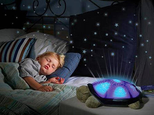 Turtle Night Sky Constellations - green