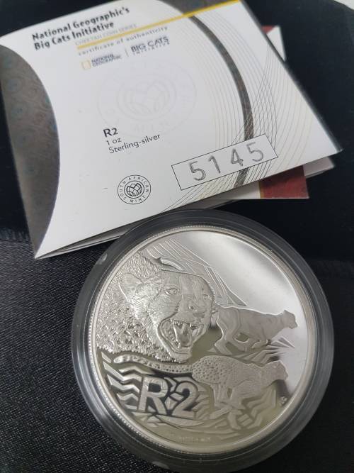 R2 silver 1 oz x 12