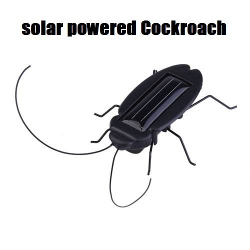 Solar Power Cockroach