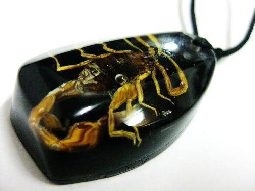 Scorpion necklace