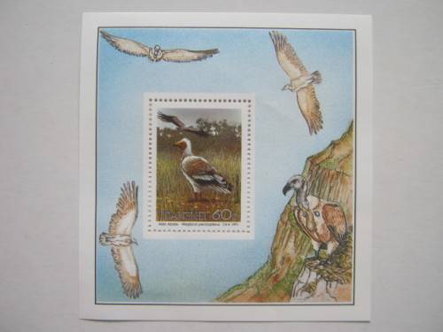 TRANSKEI - 1991 ENDANGERED BIRDS - MINIATURE SHEET - MNH