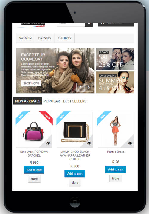 Designerhandbags.co.za eCommerce Website on R1 Auction