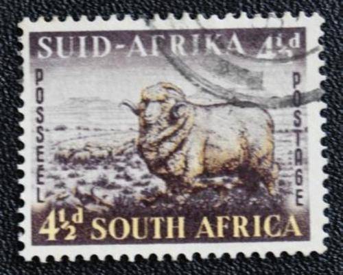 UNION OF SA 1953 - SACC 145