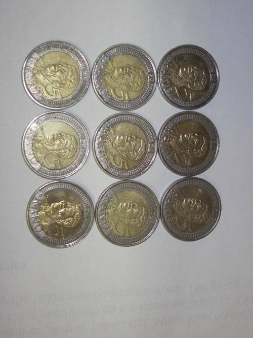 1 BID FOR ALL 9 USED 2008 MANDELA BIRTHDAY COINS GOOD STATE