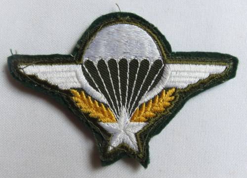 PARA WING FRANCE-LAO STUDENTS