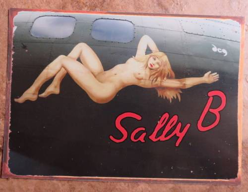 WW2 BOMBER ART-METAL SIGN-MEASURES 28X20CM