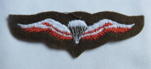 SA PARACHUTE FREE FALL WING 1ST TYPE APPEARS IN DEFENCE FORCE-CATALOGUE WITH ICN NO 84455-18-408-389