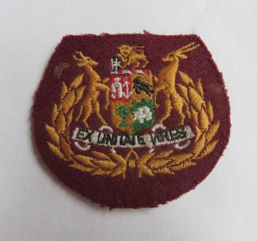 SA MEDICAL REGT. RANK FOR SERGEANT MAJOR