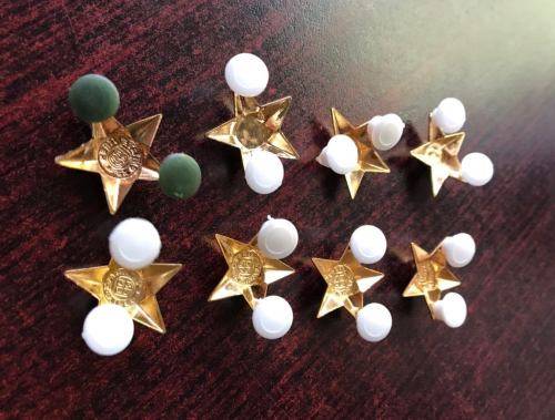 FULL SIZE RANK PIPS WORN 1960'S-70'S-GILT-ALL PINS INTACT