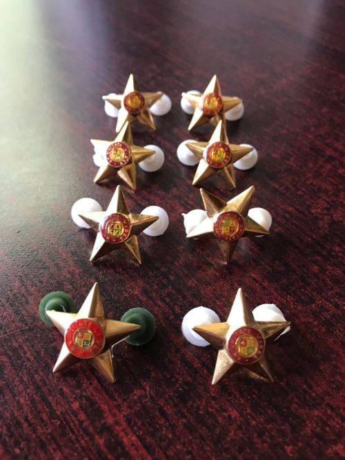 FULL SIZE RANK PIPS WORN 1960'S-70'S-GILT-ALL PINS INTACT