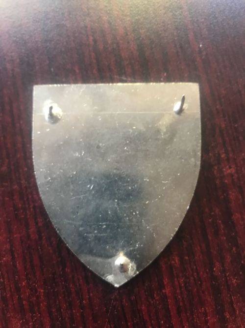 SOUTH AFRICAN KENTRON-DENEL SHOULDER FLASH- 3 PINS