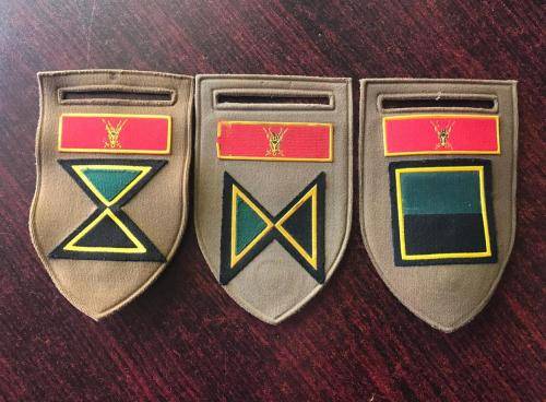 INFANTRY COMPANY FLASHES WITH CHIEF OF THE ARMY COMMAND BAR-3 SOLD TOGETHER-ONE PIN MISSING